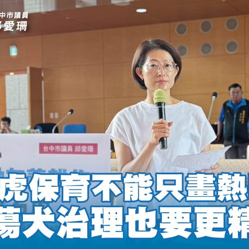 石虎